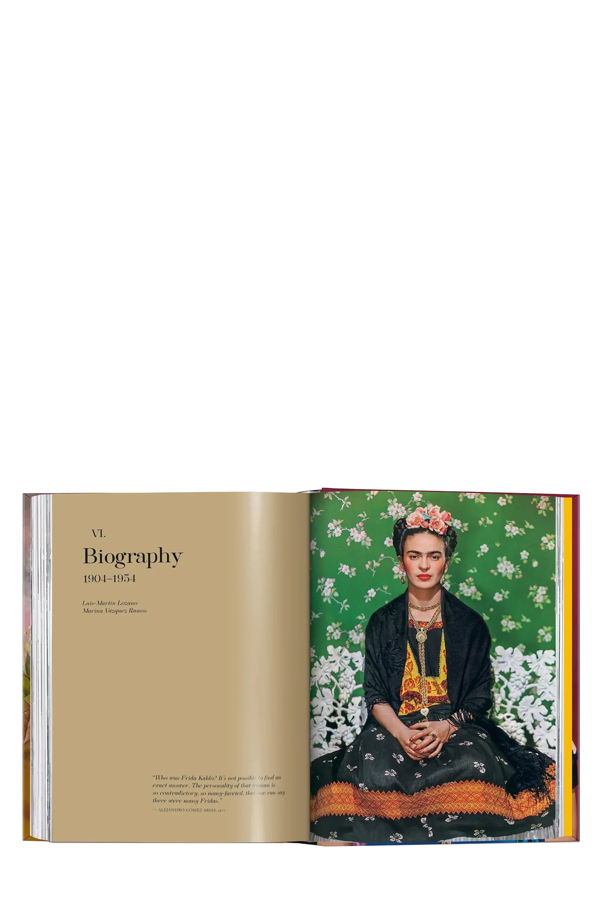 Frida Kahlo The Complete Painting - Image 3